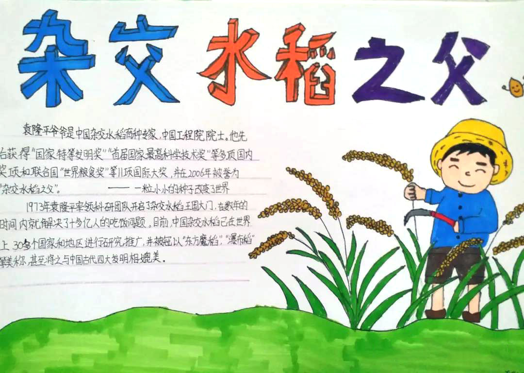 珍惜粮食，缅怀袁隆平手抄报-图5