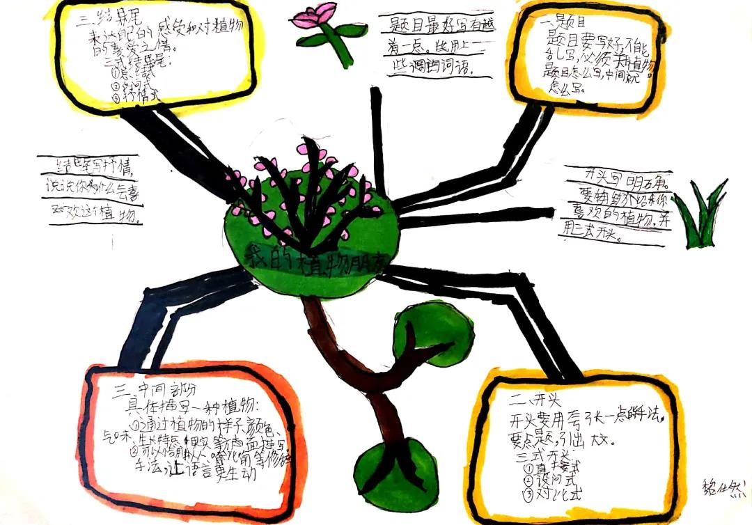 作文思维导图的手抄报-图3