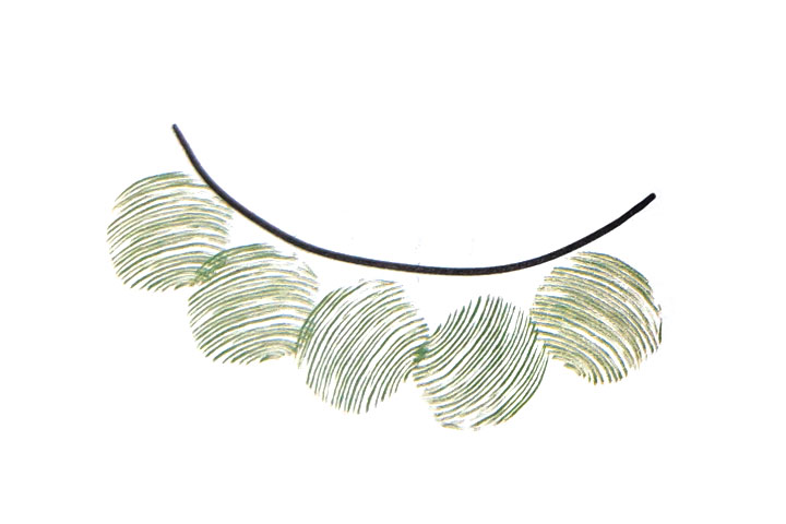 步骤3：再画出一条弧线。