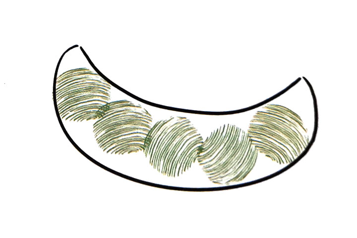 如何用指印画豌豆