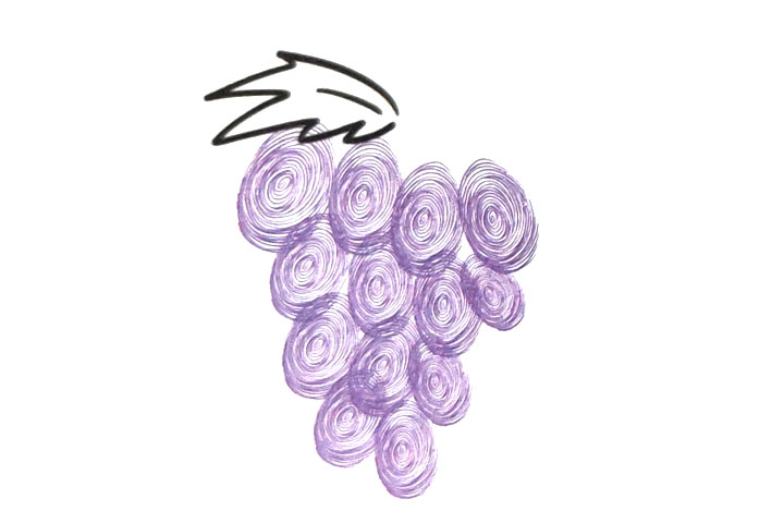 步骤3：画出葡萄的左半部分叶子。