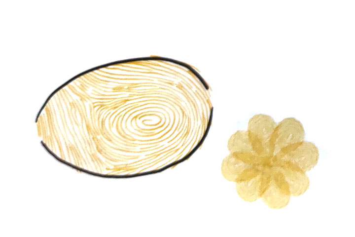 步骤3：勾出完整的柠檬的轮廓。