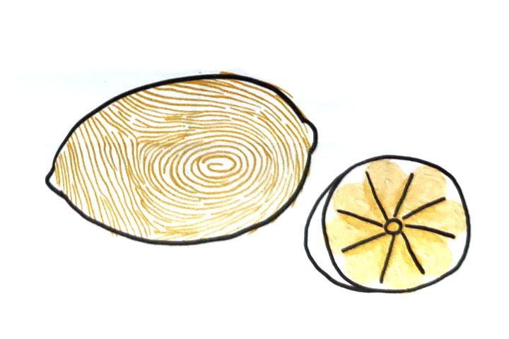 如何用手指画柠檬