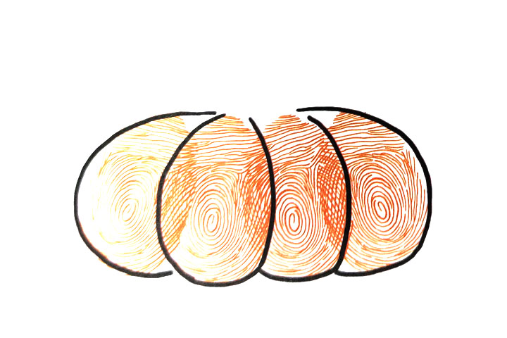 步骤3：勾出轮廓线。