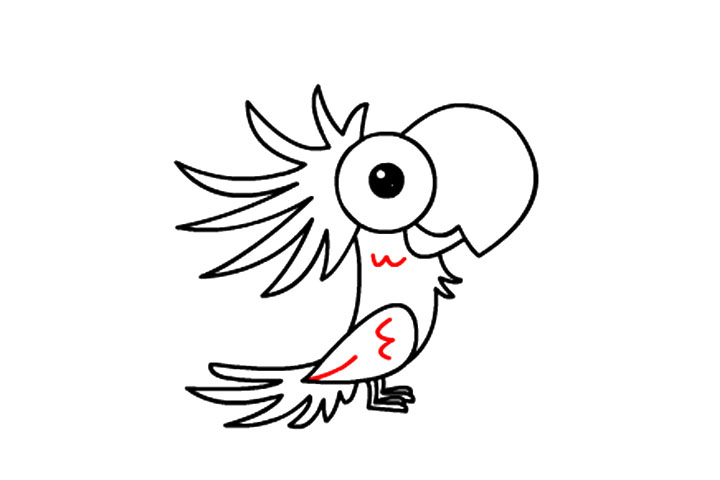 如何画一只可爱鹦鹉-图12