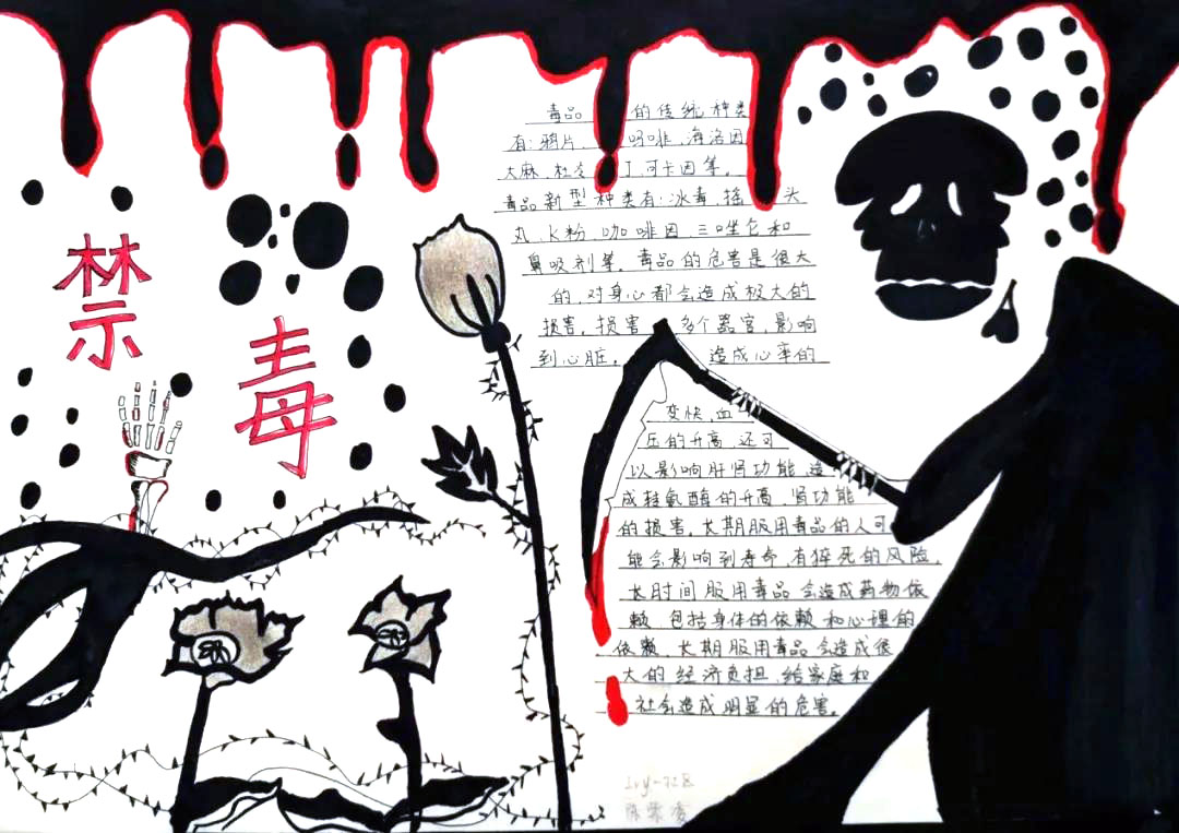 全国禁毒知识宣传手抄报绘画-图3