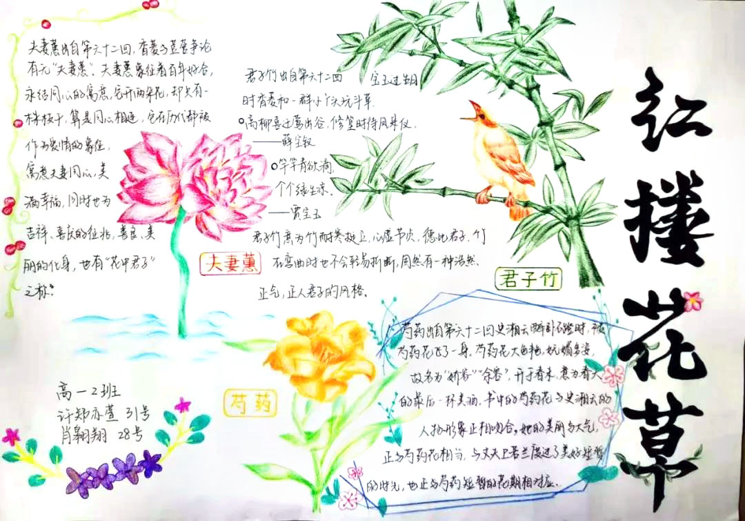 步骤4：赏评：君子竹青翠挺拔的枝干，片片箭状的绿叶，一只小巧玲珑的黄鹂悠然栖于其上，瞧！一副红楼花草画卷正向我们徐徐展开——无论是花瓣硕大饱满，娇翠欲滴的芍药花；还是相生相惜，不离不弃的夫妻蕙。这一株株小小的花儿，不但与红楼人物之性情相照应，同时也展现了曹雪芹先生在花草方面的造诣。