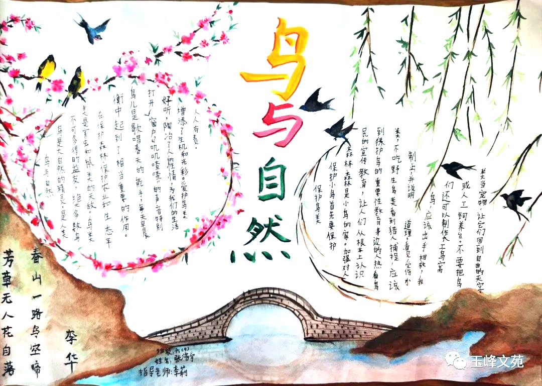 爱护鸟儿宣传手抄报-图5