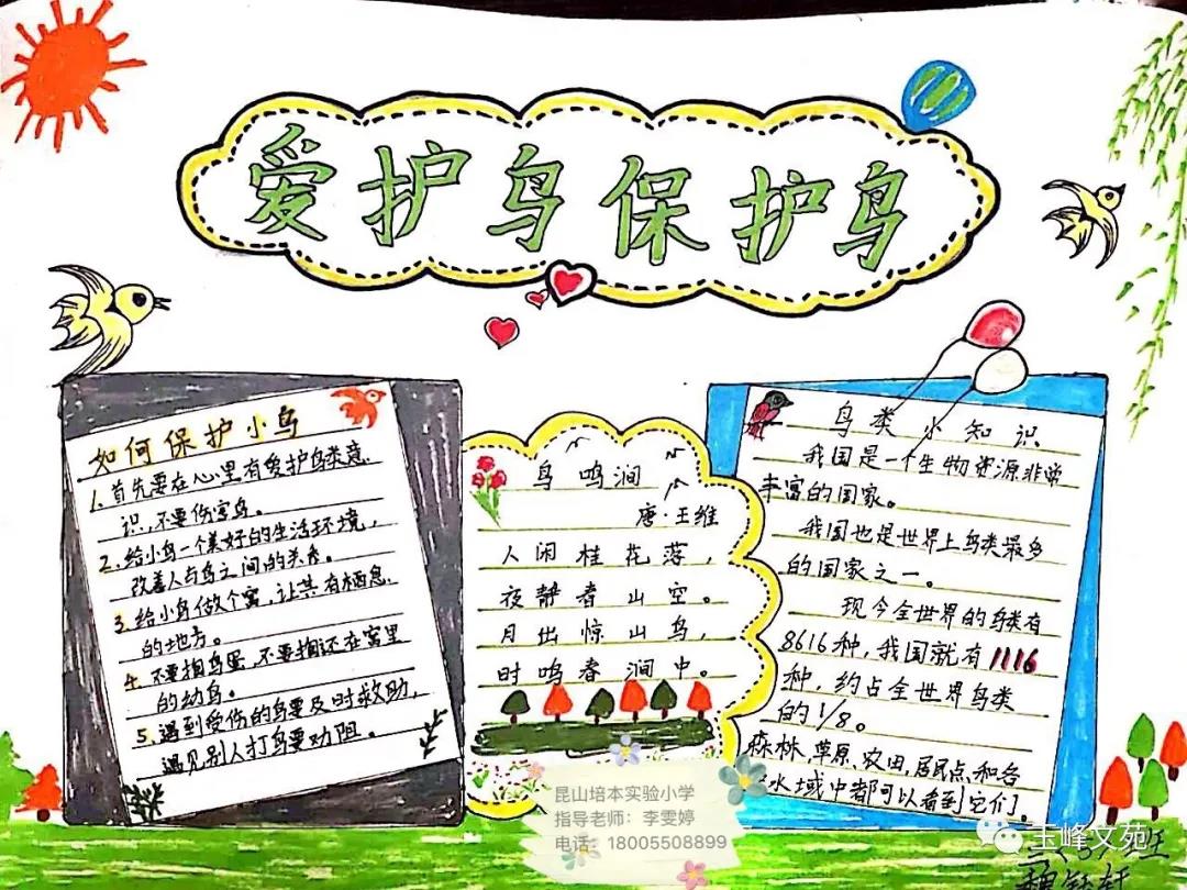 我给小鸟安个家手抄报-图5
