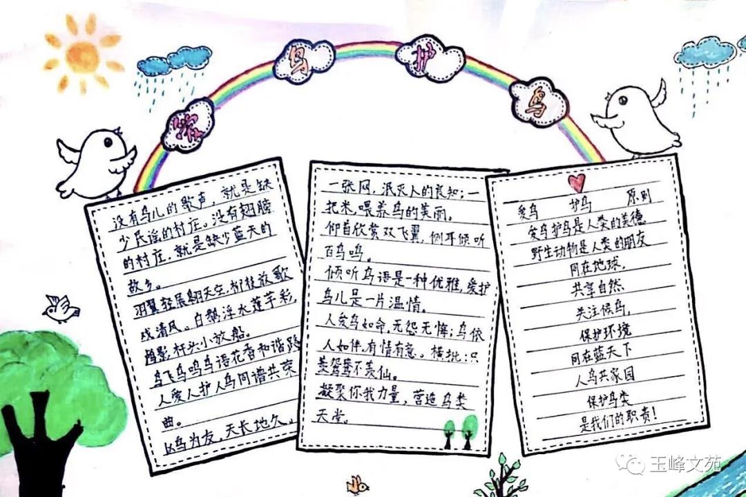 保护候鸟手抄报怎么画-图3