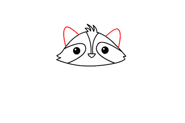 如何画可爱小浣熊-图7