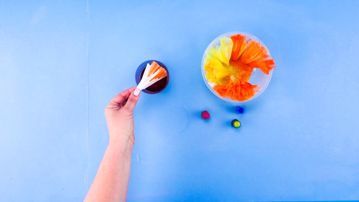 步骤4：要制作渐变色，请在杯子中加入两滴最浅的食用色素。握住咖啡过滤纸器的尖端，将其浸入杯中，直到彩色水被过滤纸上方的 1/3 吸收。 将过滤纸的尖端朝下放入主锅中晾干。当您浸入剩余的过滤纸时，增加第二种颜色的滴数。