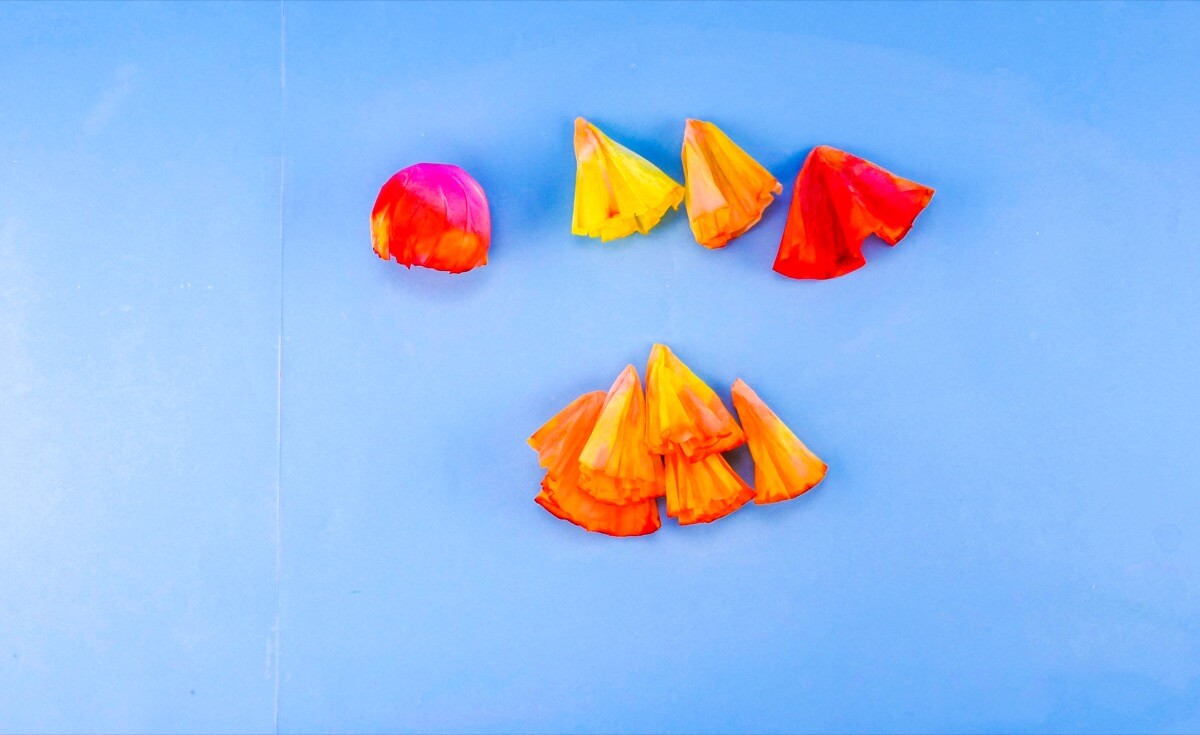 步骤8：你应该有一个圆顶形的水母身体！ 