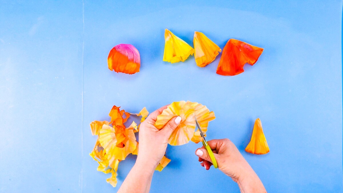 步骤9：口臂是从水母身体下来的两个主要臂。要制作这些，请将五个过滤器切成约 3/4 英寸宽的螺旋状，直到到达纸的中心。 