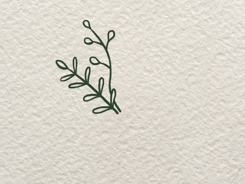 一封漂亮的信简笔画画法-图2