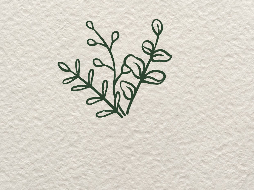 一封漂亮的信简笔画画法-图3