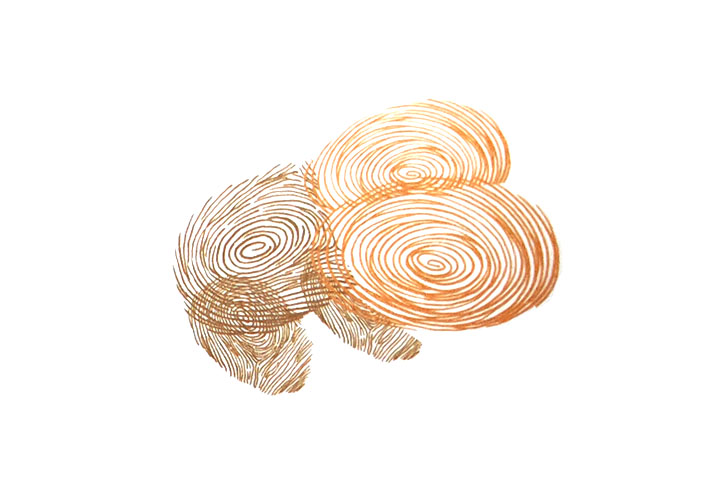 步骤2：印自己的指印作后腿、自己的半个指印作前腿，再用大人的半个指印作头的上半部和下半部。