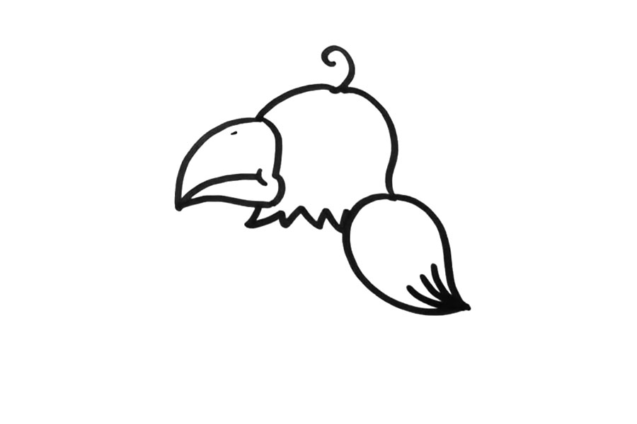 鹦鹉的画法步骤-图3