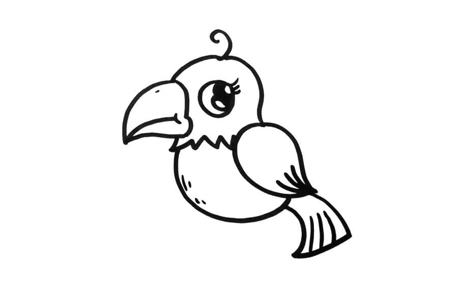 鹦鹉的画法步骤-图5