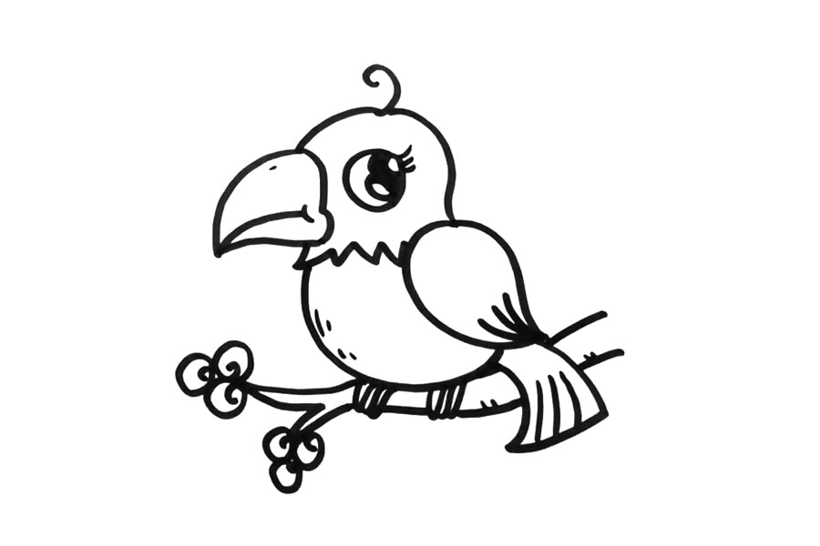 鹦鹉的画法步骤-图6