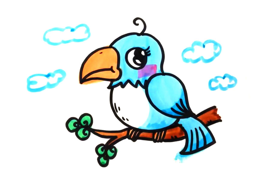 鹦鹉的画法步骤