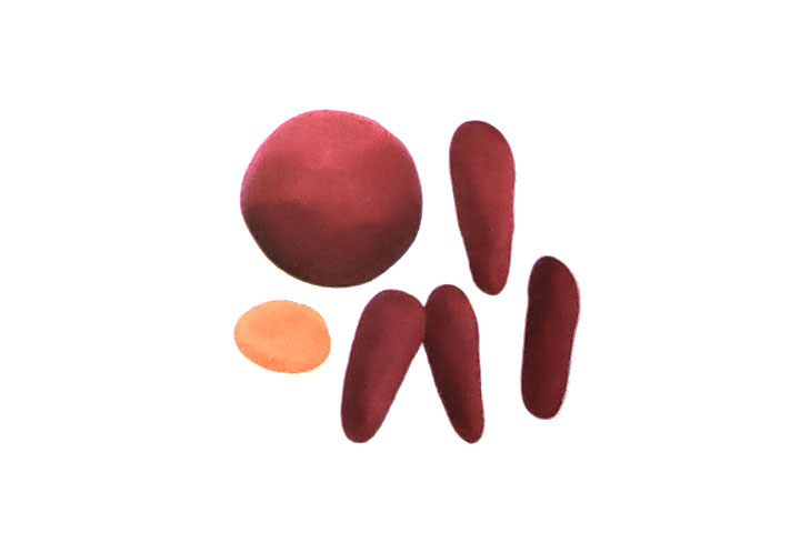 步骤3：用褐色泥和粉泥捏出身体、四肢和扁圆。