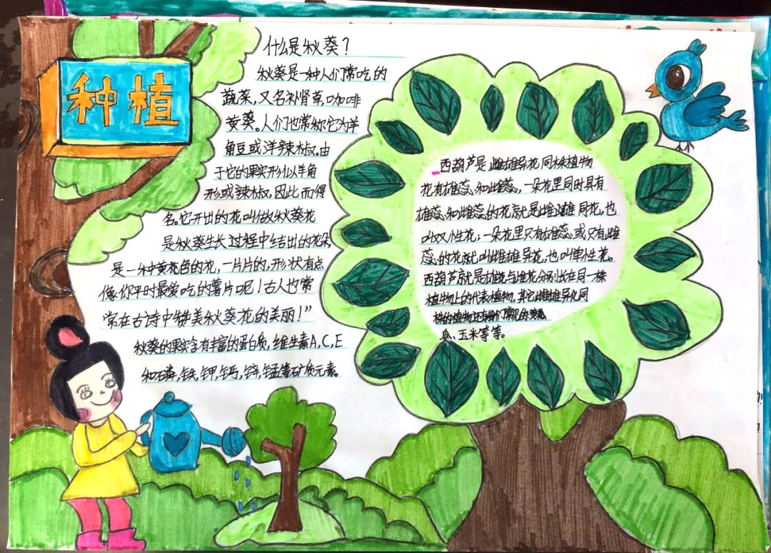 “我和苗苗的故事”主题手抄报-图3