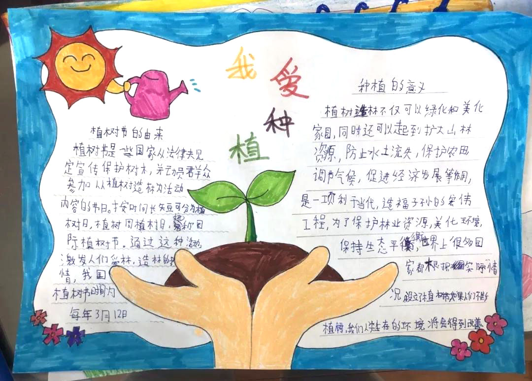 “我和苗苗的故事”主题手抄报-图5