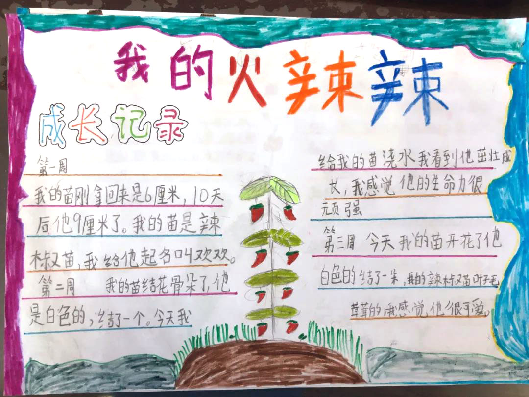 “我和苗苗的故事”主题手抄报-图8