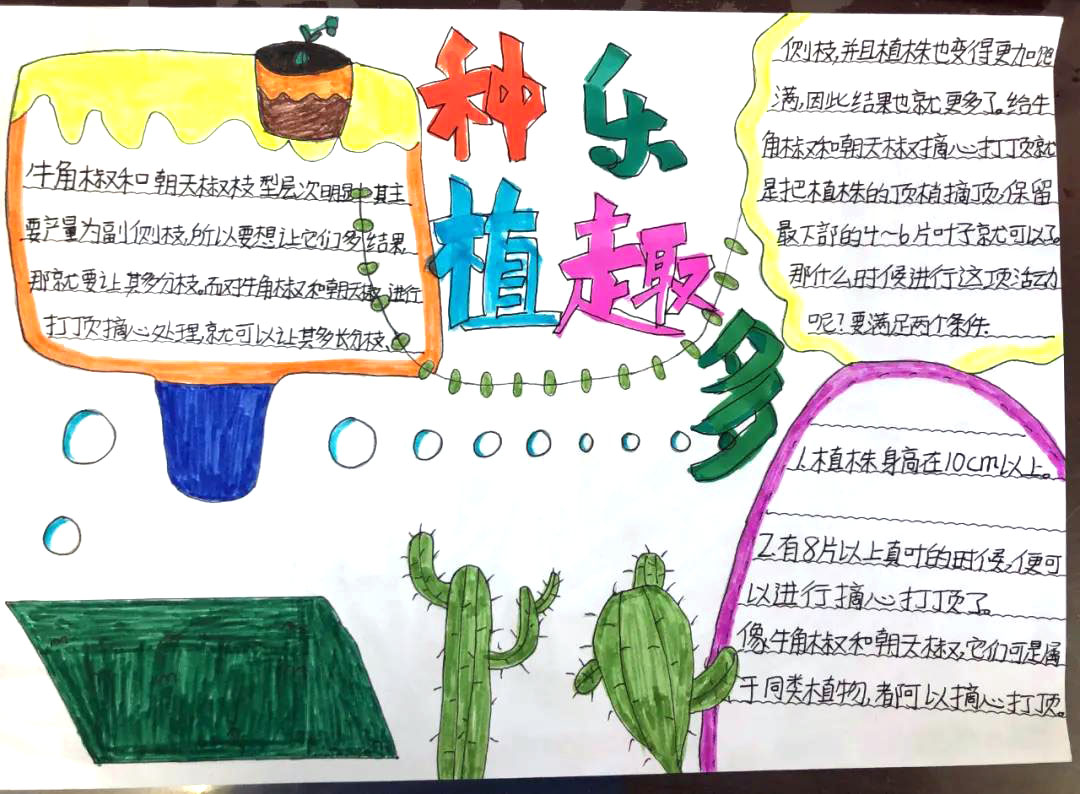 “我和苗苗的故事”主题手抄报-图10