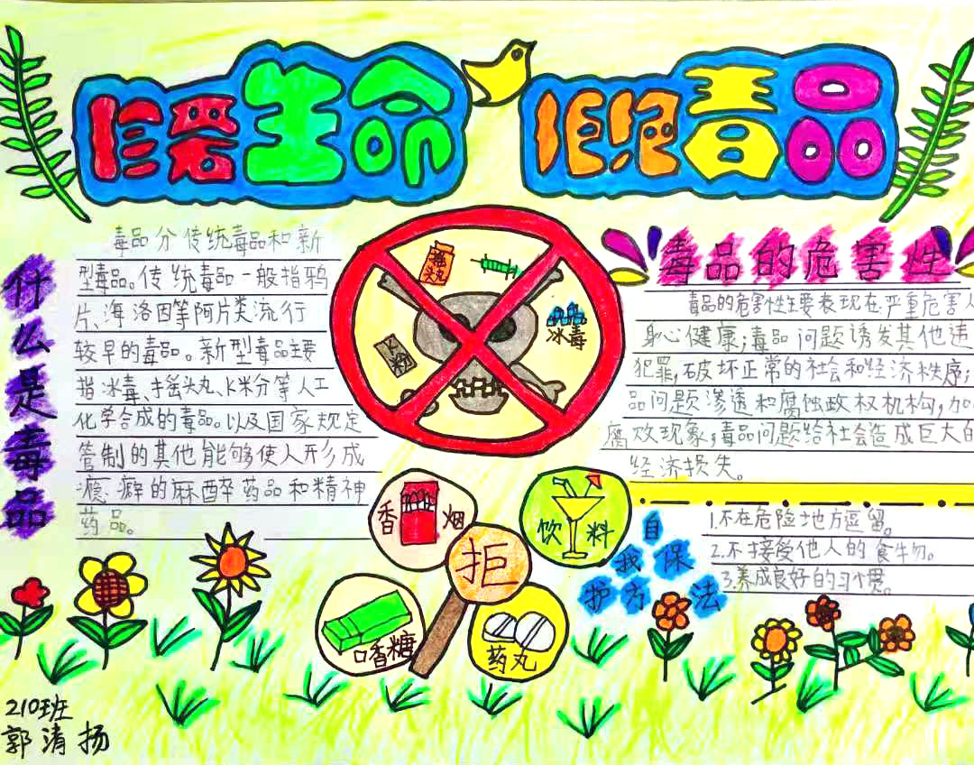 全国禁毒知识宣传手抄报绘画-图1