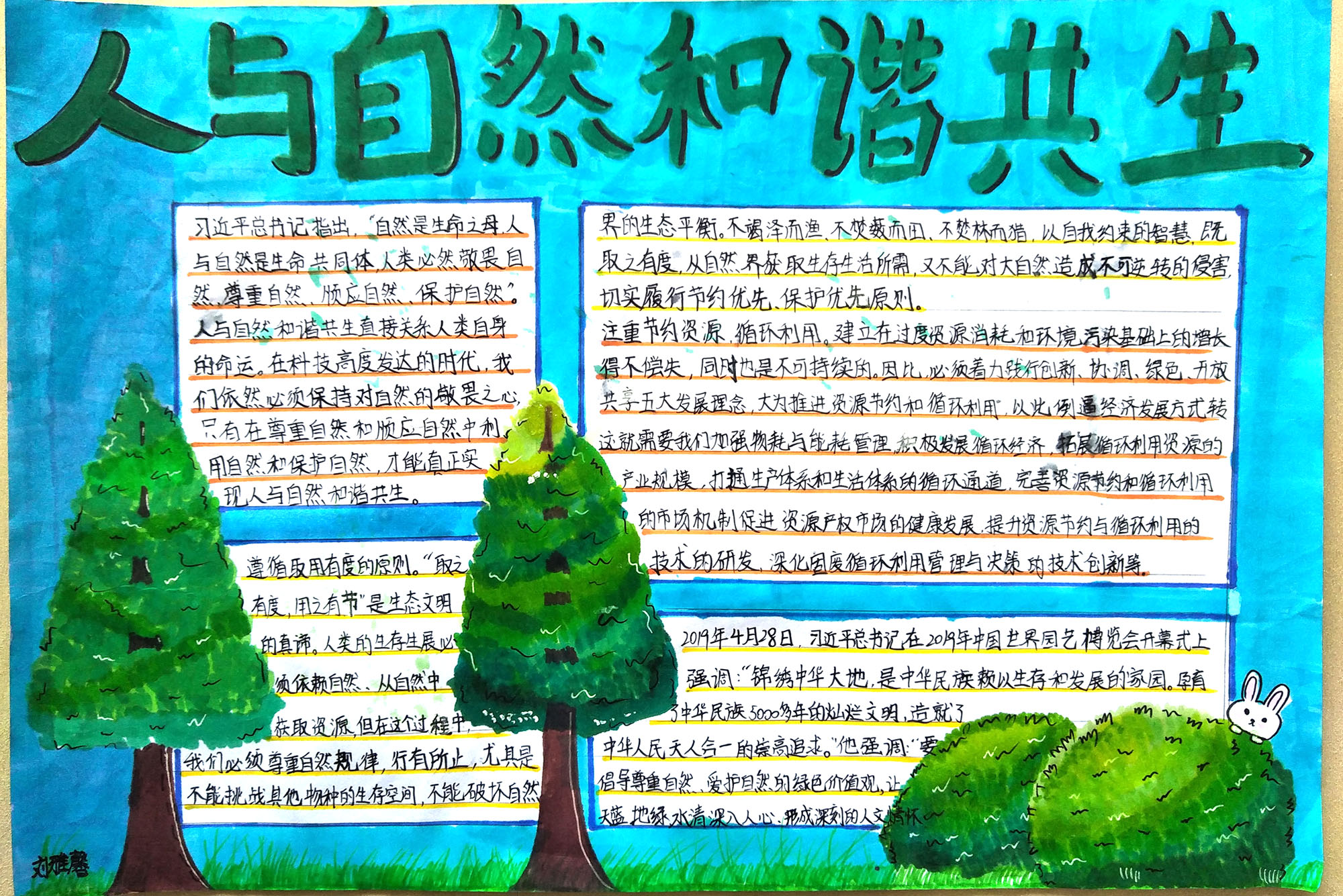 热爱自然敬畏生命手抄报-图4