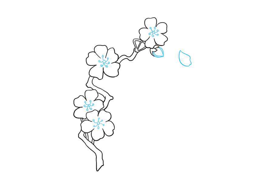 如何画樱花-图9