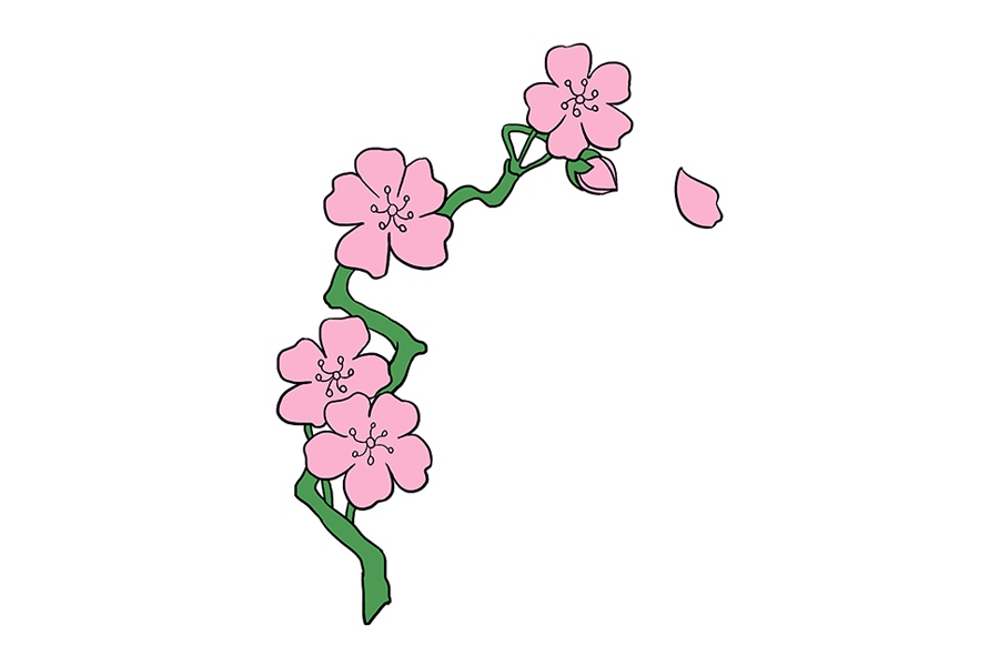 如何画樱花