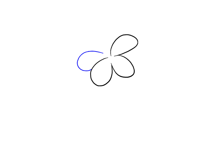 如何画百合花-图4