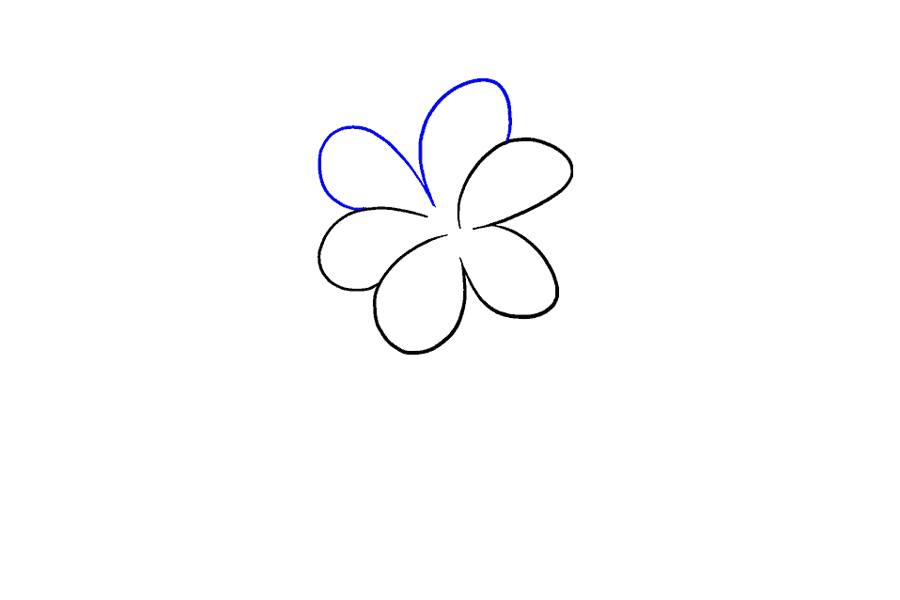 如何画百合花-图5