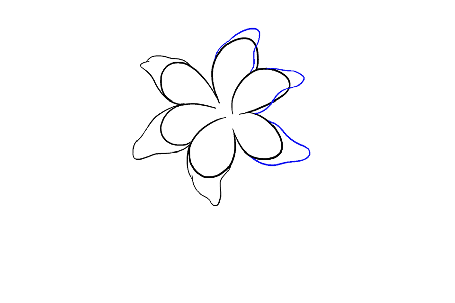 如何画百合花-图7