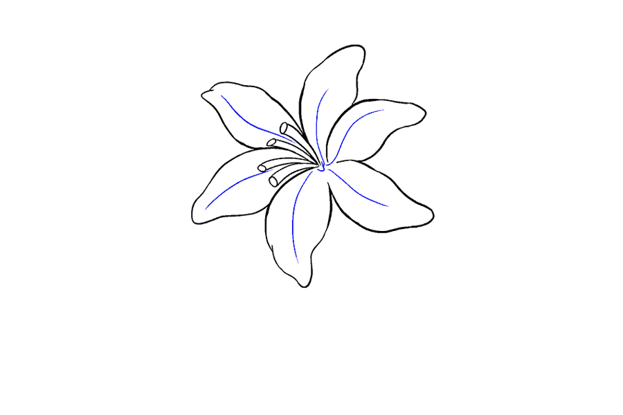 如何画百合花-图13