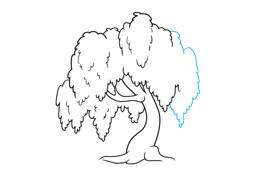 如何画茂盛的柳树-图8