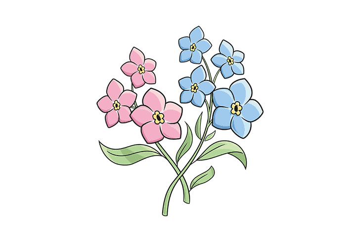 如何画勿忘我花