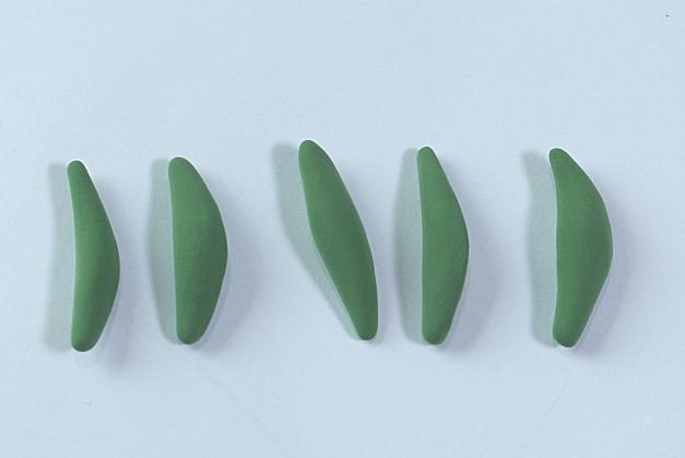 步骤5：开始做仙人掌，用绿色粘土做出五个叶瓣。