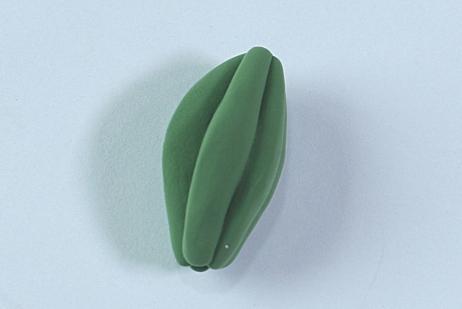 步骤6：把叶瓣粘在一起，一个仙人掌就做好了。