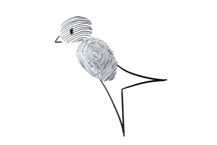 步骤3：画嘴、眼睛和剪刀形状的尾巴。