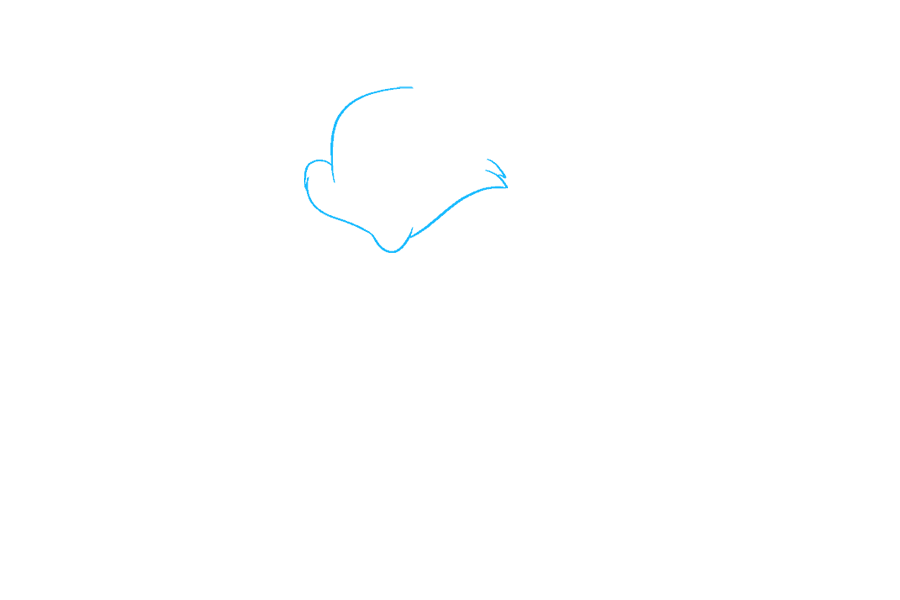 步骤1：首先画出汤姆的脸。用曲线画出前额、脸颊和下巴。使用在锯齿点相交的短而重叠的曲线来指示脸部侧面的毛簇。