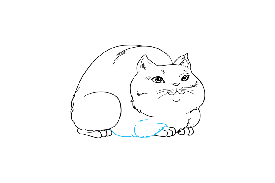 步骤8：用曲线画出腹部和泪珠状的前腿。