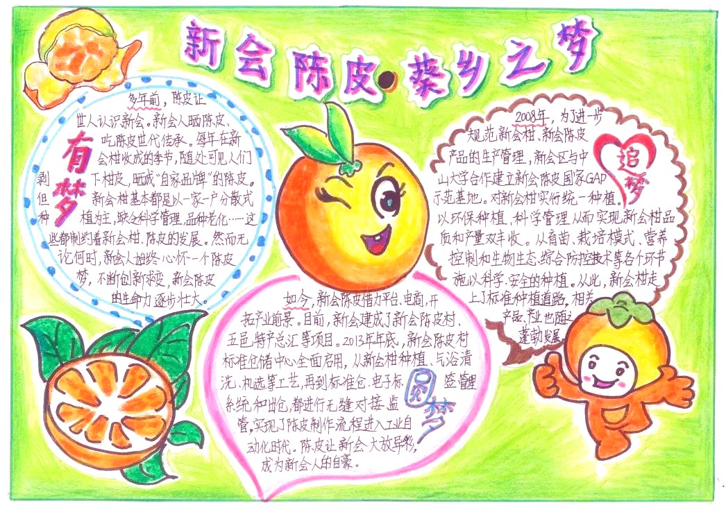 有关农村的变化手抄报图片-图2