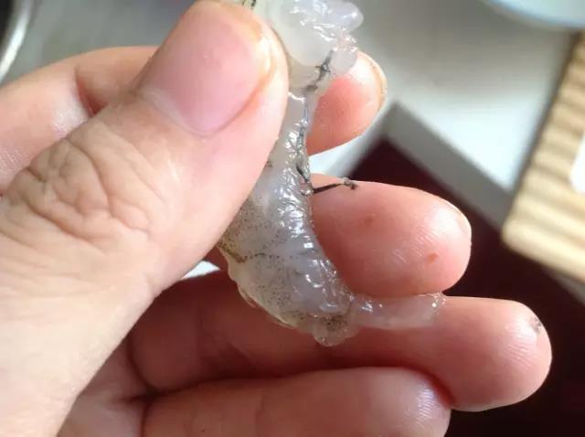 第4步：剥去虾壳，记得把前面的虾线也去掉。