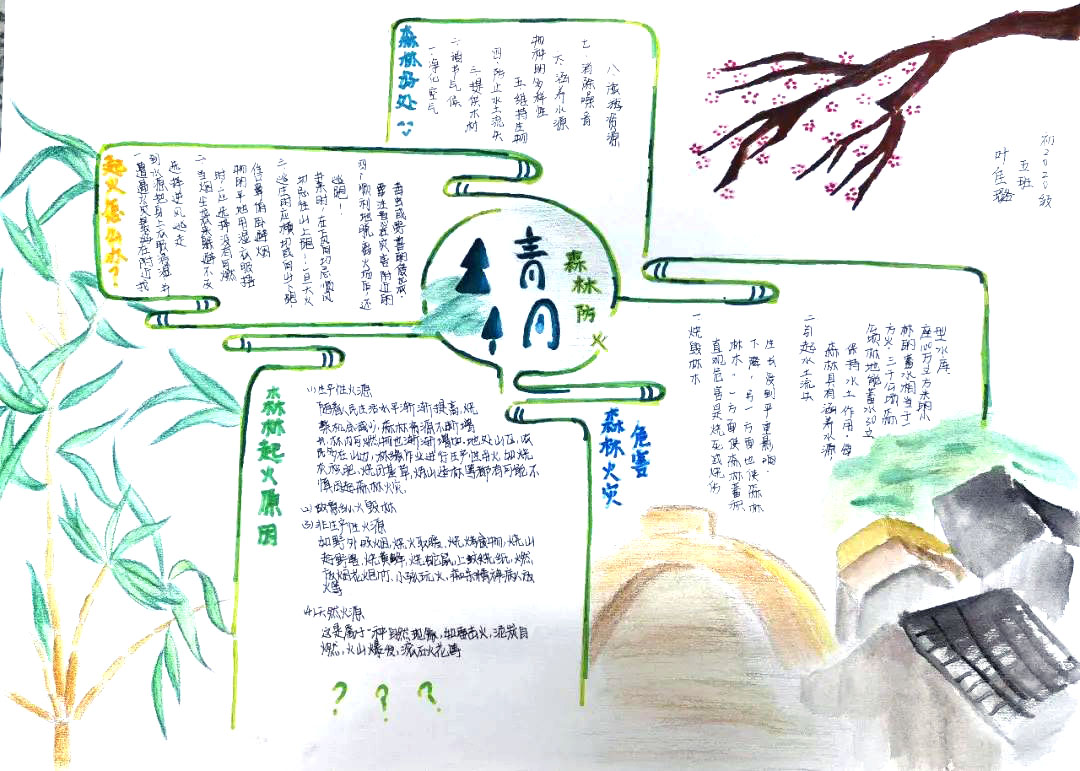 关于森林防火手抄报图片-图8