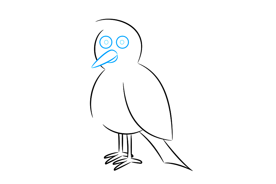 步骤4：使用两个中等圆圈，在卡通鸟的头部内画出眼睛。在眼睛内部，用圆点勾勒出小瞳孔。通过使用长曲线在眼睛下方绘制一个长尖的喙来完成第四步。