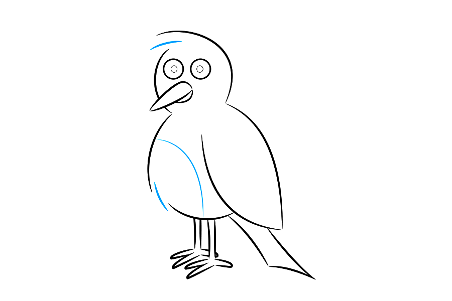 步骤5：在头顶，再画一条线来完成卡通鸟的头发。在腹部使用相同的技术来形成羽毛。